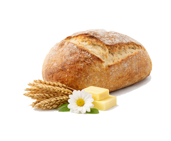 Fresh Bread Loaf