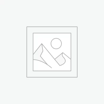 Audio
